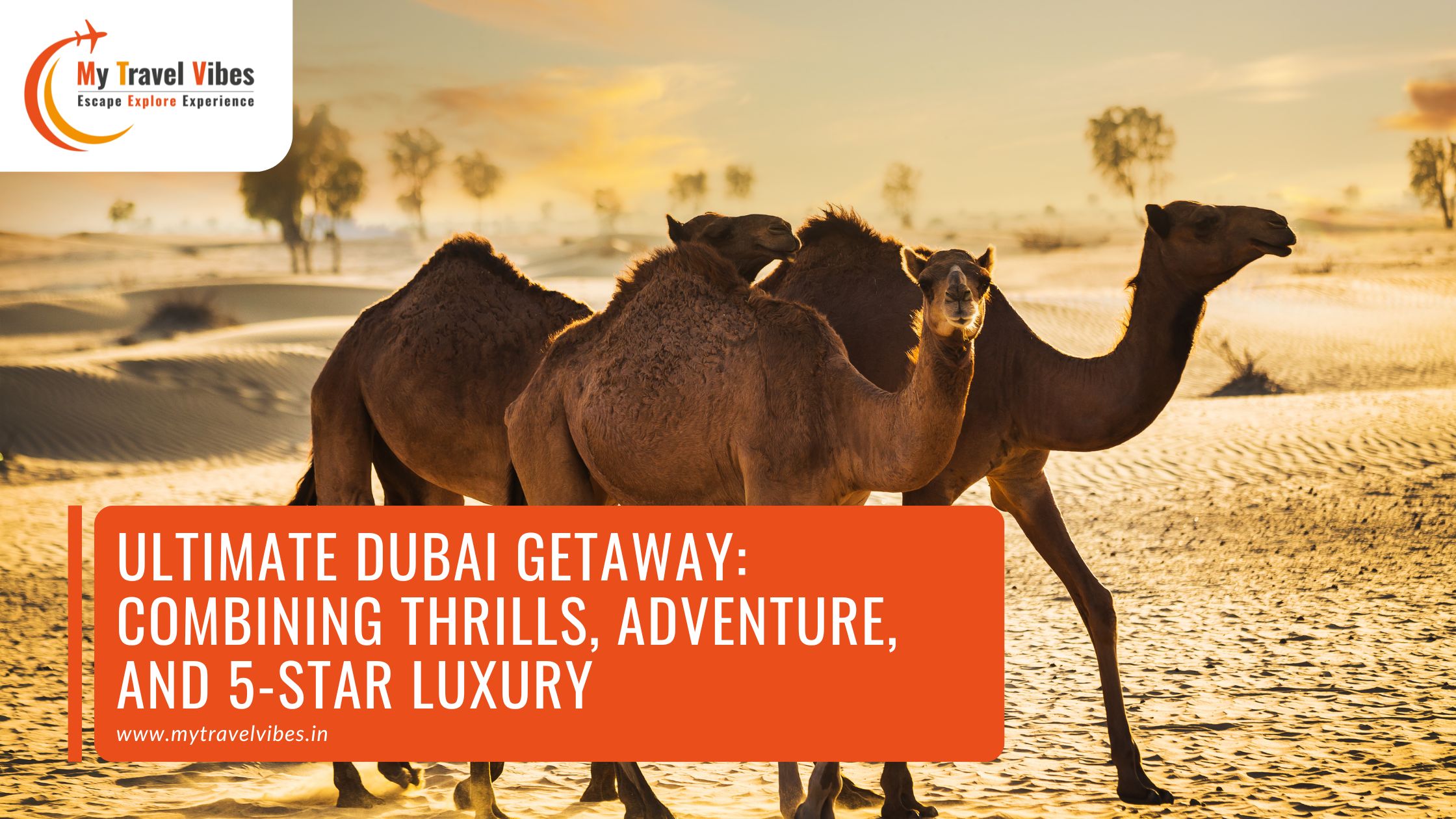 Ultimate Dubai Getaway: Combining Thrills, Adventure, and 5-Star Luxury – My Travel Vibes